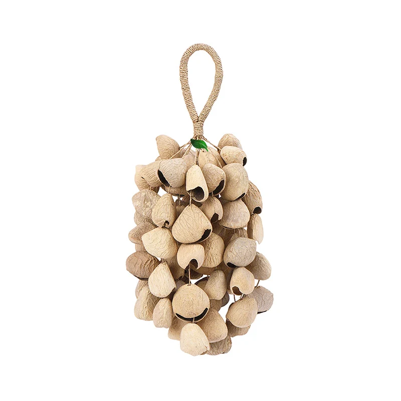Seed Shaker (Pangi) Shell Rattle for Sound Relaxation