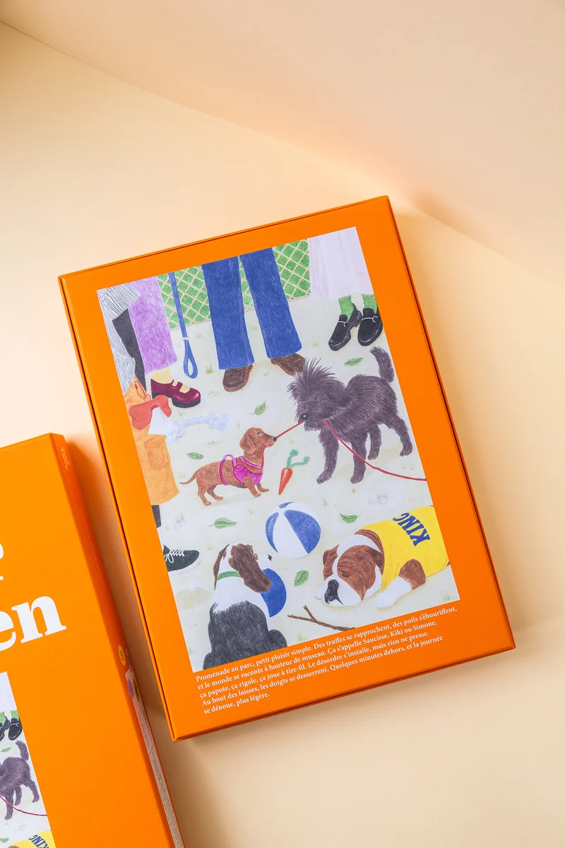 Sortir le chien - Puzzle 1000 pièces