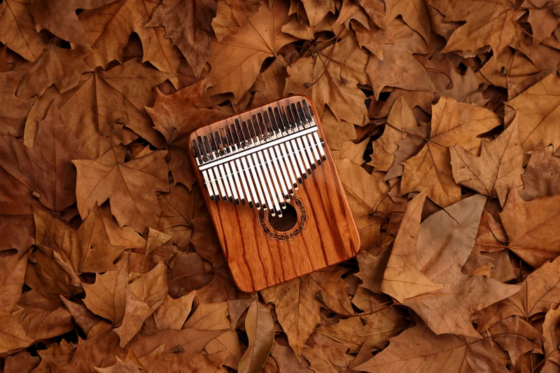 Hluru Hollow Kalimba Gabonese Rosewood 17/21 key Finger Thumb Piano