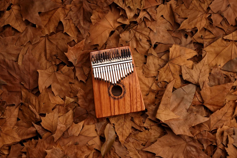 Hluru Hollow Kalimba Gabonese Rosewood 17/21 key Finger Thumb Piano