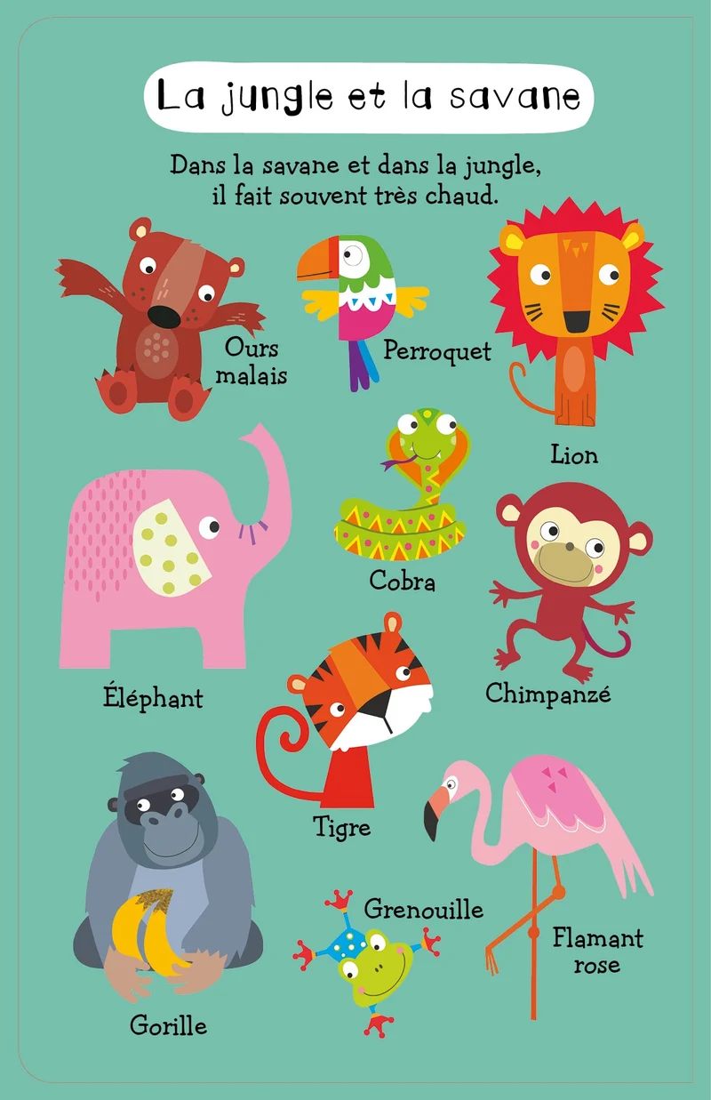 Mon premier cherche et trouve sonore – Animaux