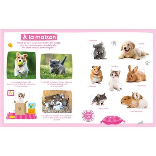 Mon imagier sonore – Bébés animaux