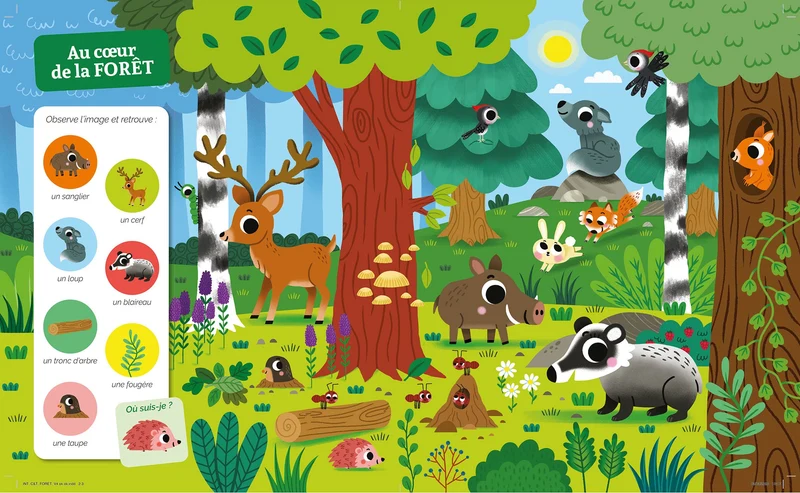 Cherche et trouve des tout-petits – Dans la forêt - AUZOU