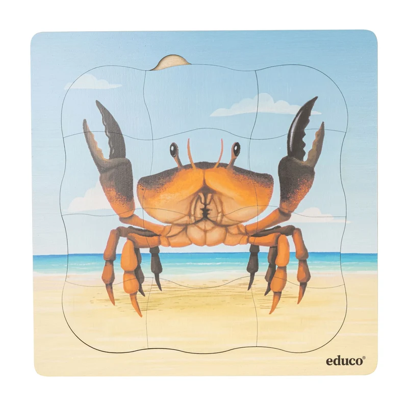 Puzzles évolutifs à la plage - coffret 5 puzzles