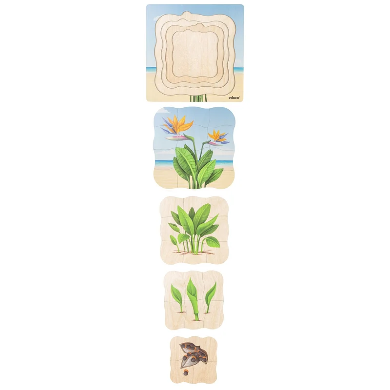 Puzzle évolutif à la plage - oiseau de paradis