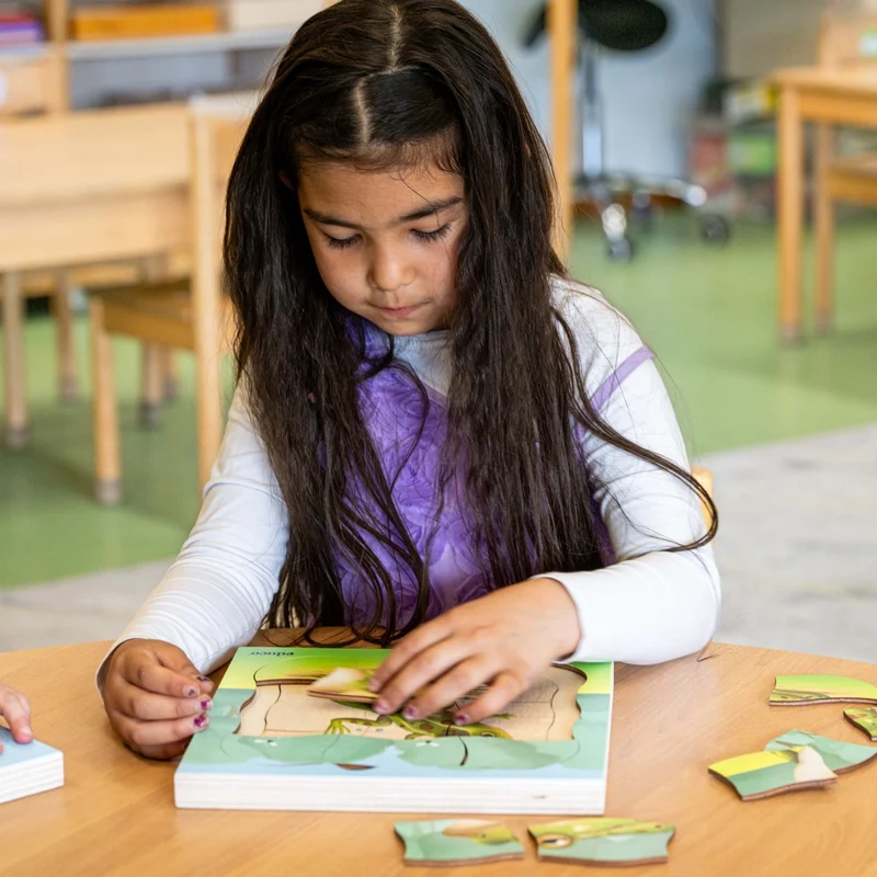 Puzzle évolutif dans la forêt - la grenouille