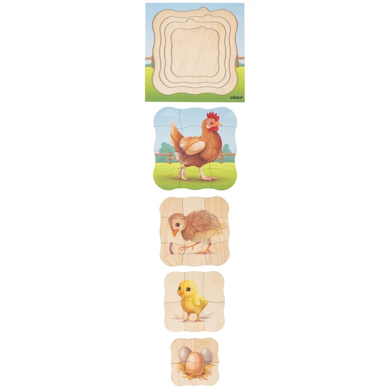 Puzzle évolutif à la ferme - la poule
