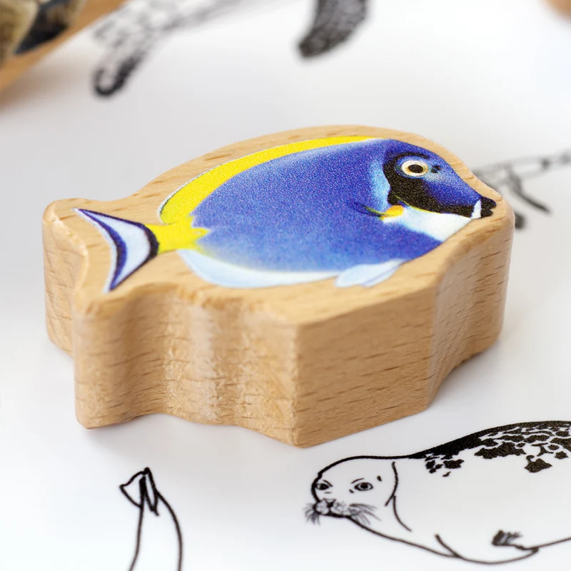 Boite des animaux marins par continent (anglais)