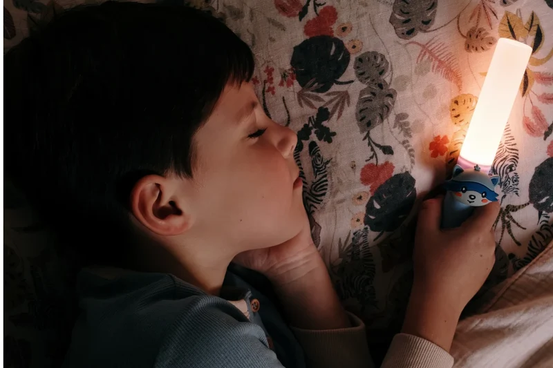 Lampe veilleuse enfant Zoo Light – Raton laveur – The Zoofamily