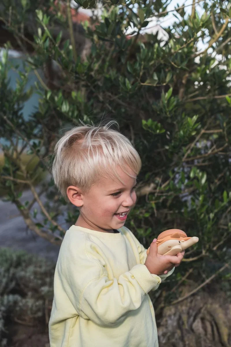 Talkie-walkies enfant Zoo – Duo Renard – The Zoofamily