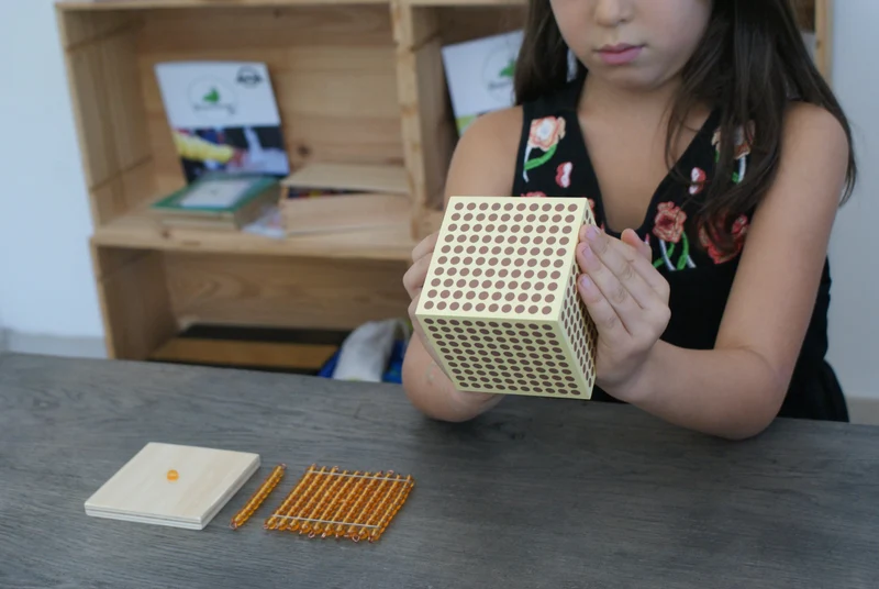 Système Décimal Montessori