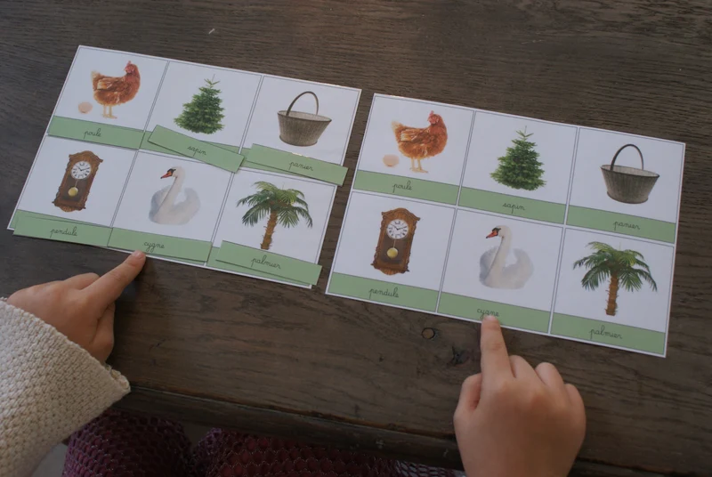 Séries de Lecture Montessori Cursives