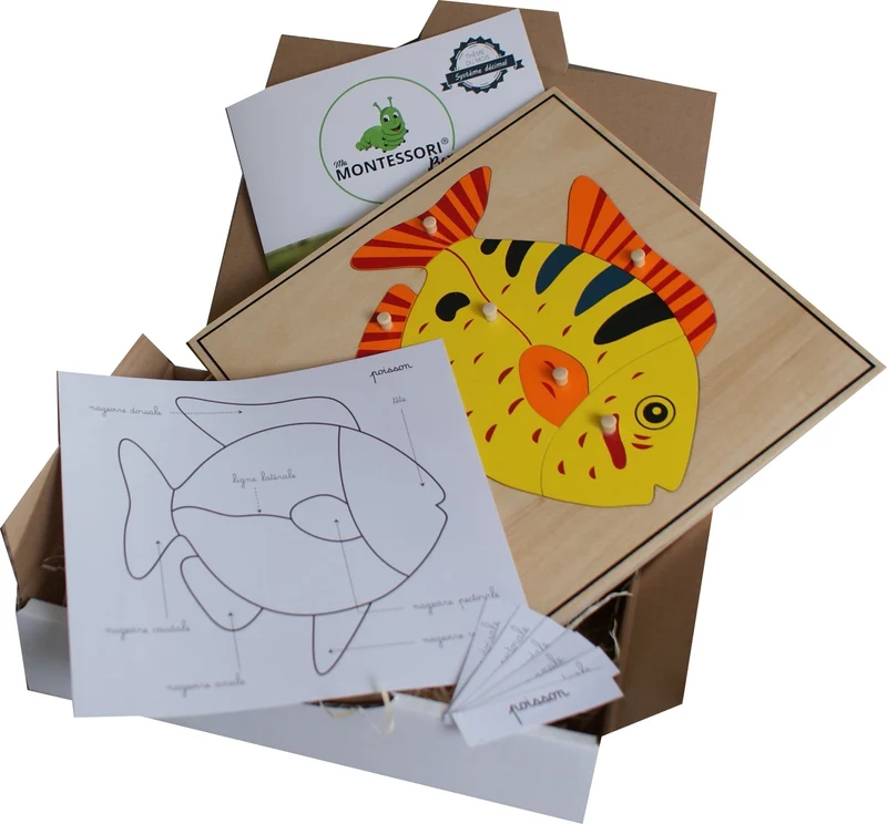 Puzzle du Poisson Montessori - Zoologie