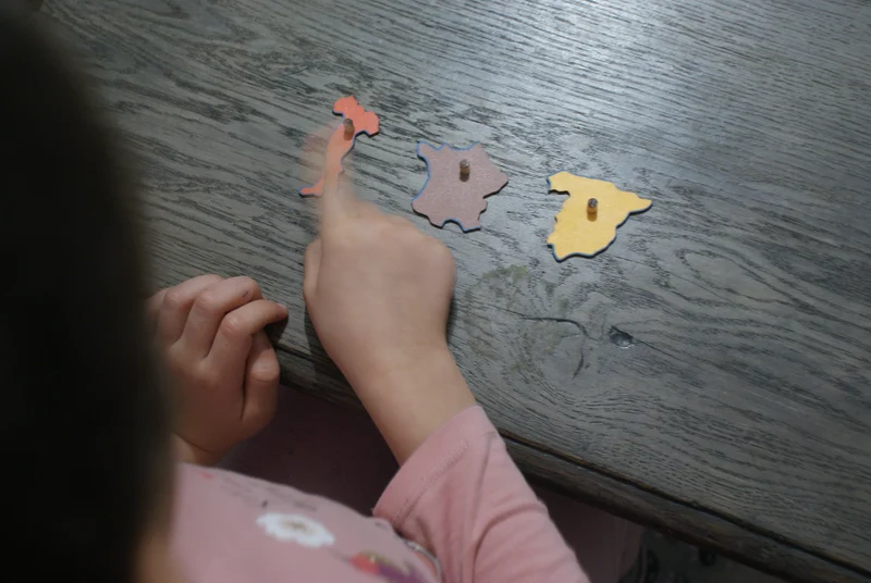 Puzzle du continent Europe Montessori