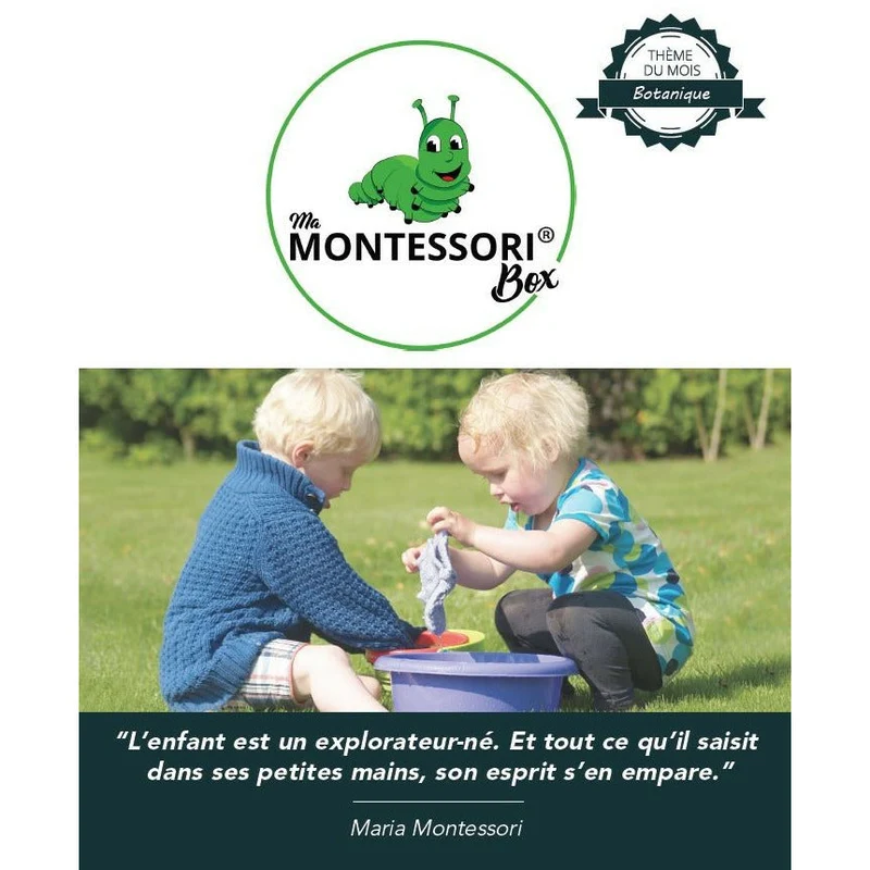 Puzzle Botanique de l'Arbre Montessori