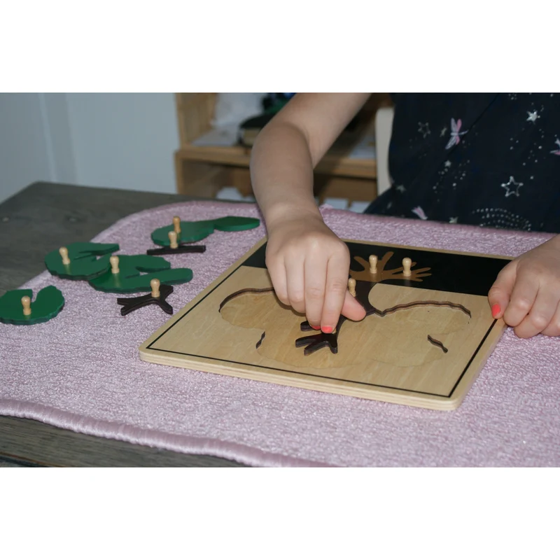 Puzzle Botanique de l'Arbre Montessori