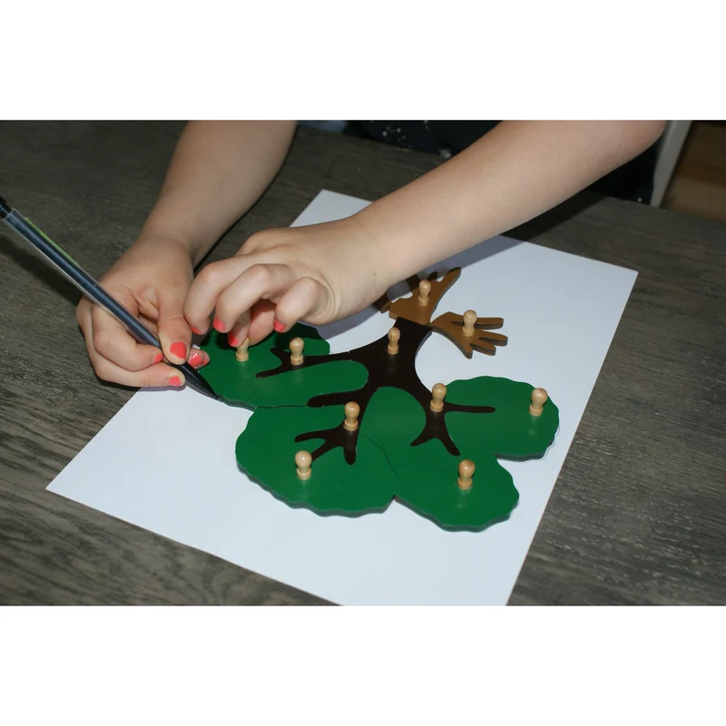 Puzzle Botanique de l'Arbre Montessori