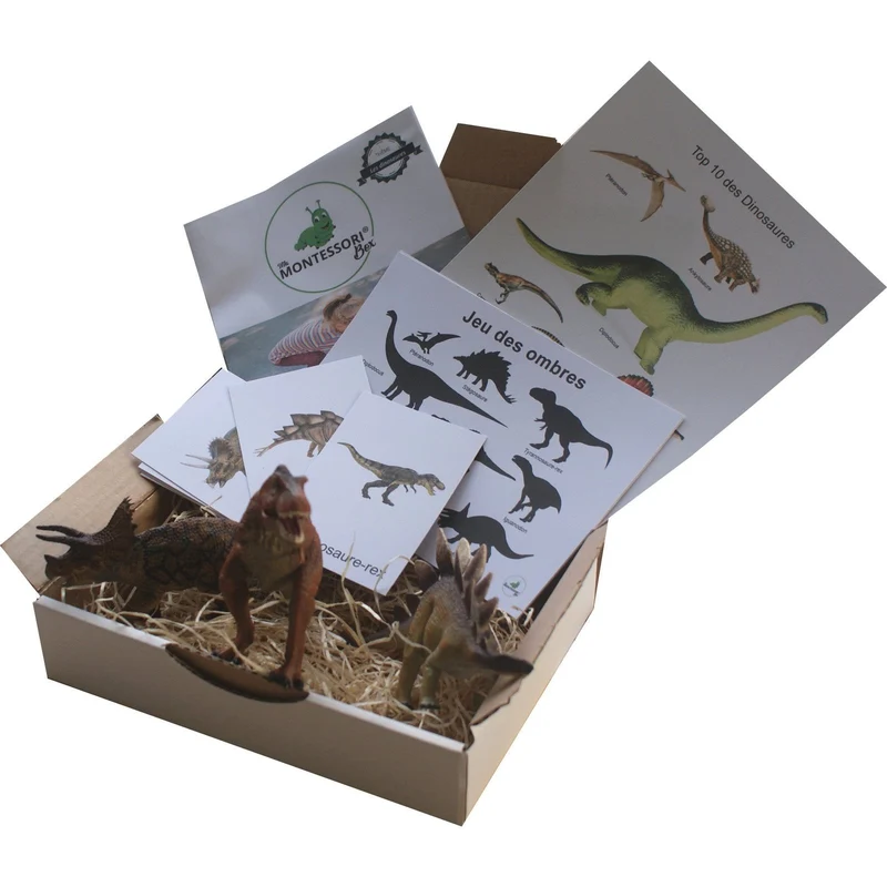 Les dinosaures Montessori
