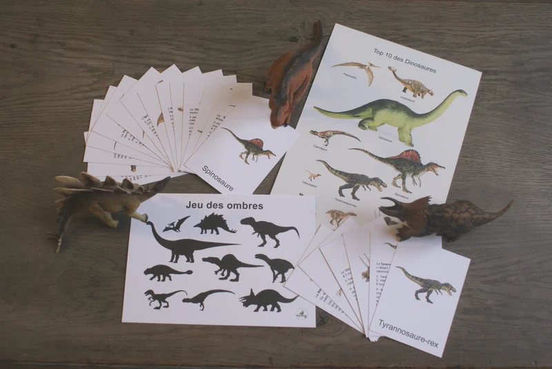 Les dinosaures Montessori