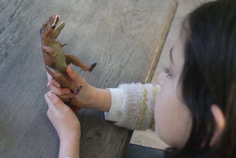 Les dinosaures Montessori