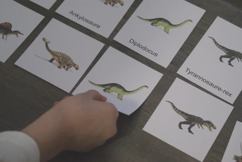Les dinosaures Montessori