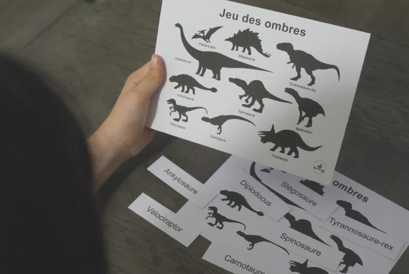 Les dinosaures Montessori