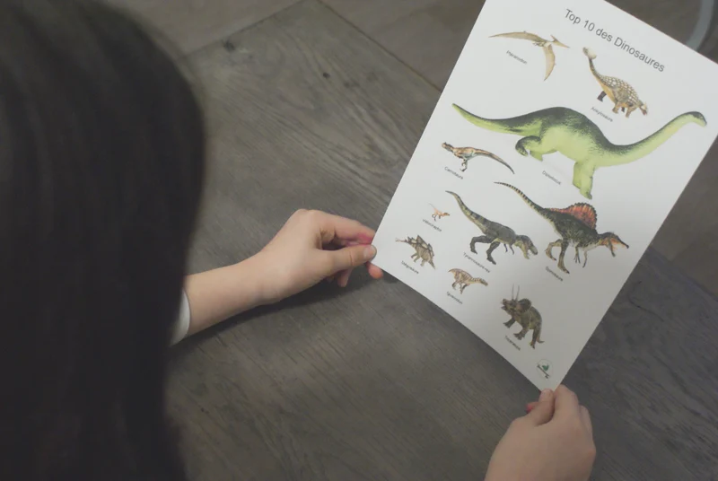 Les dinosaures Montessori