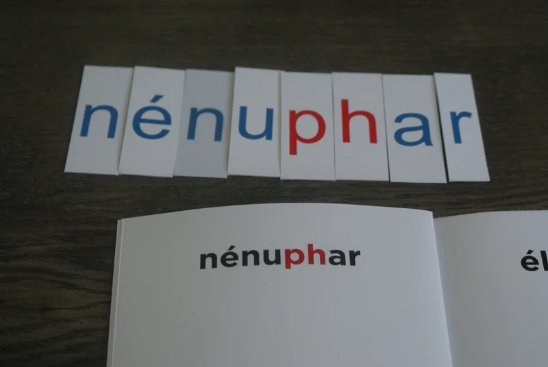 Homophones Montessori