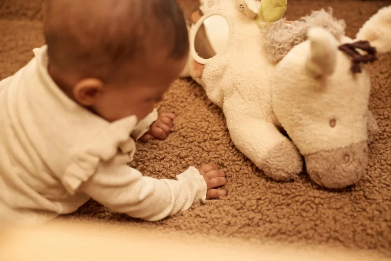 Peluche d’activités Donkey Dinky – Jollein