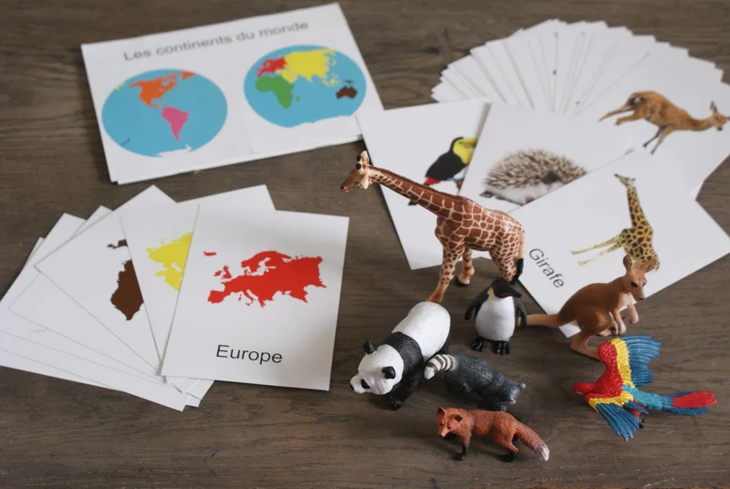 Animaux du Monde Montessori