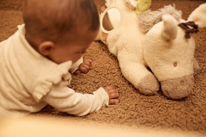 Peluche d'activités Donkey Dinky