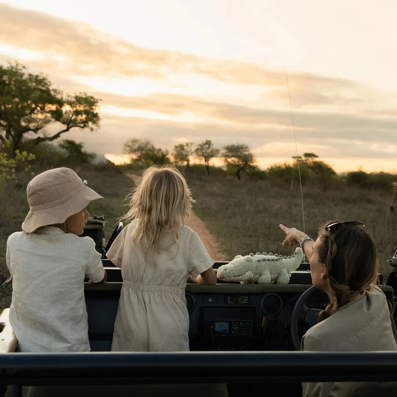 Peluche Crocodile Safari Friends