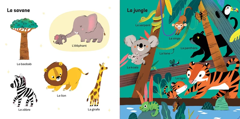 Imagier bébé – Mes 100 mots pour découvrir le monde