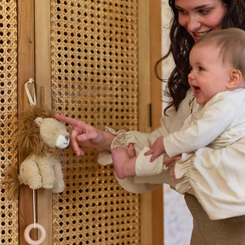 Boîte à musique lion Safari Friends – mélodie apaisante pour bébé