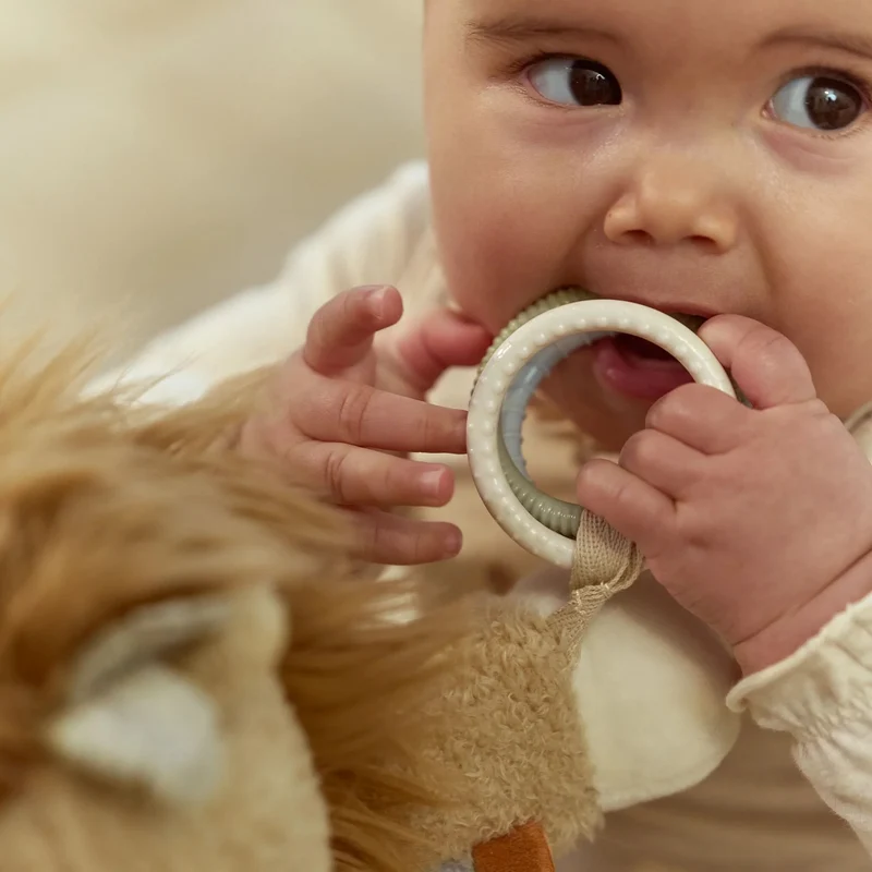Peluche d’activités lion Safari Friends – jouet sensoriel bébé