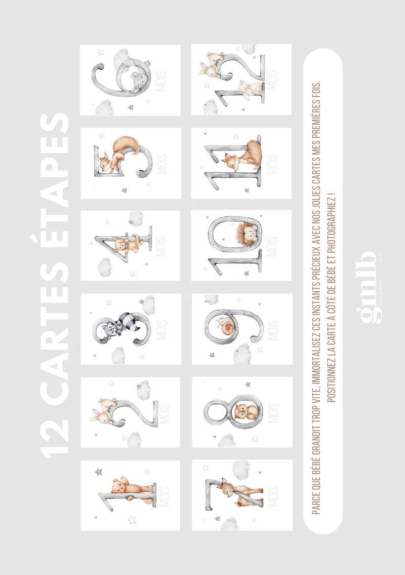 Cartes étapes bébé 12 mois dans les nuages