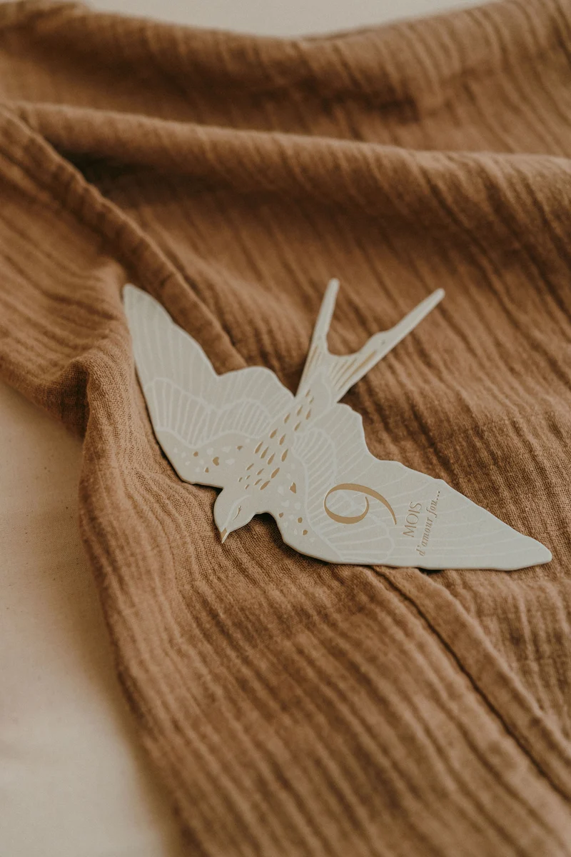 Coffret de 12 cartes étapes Birds