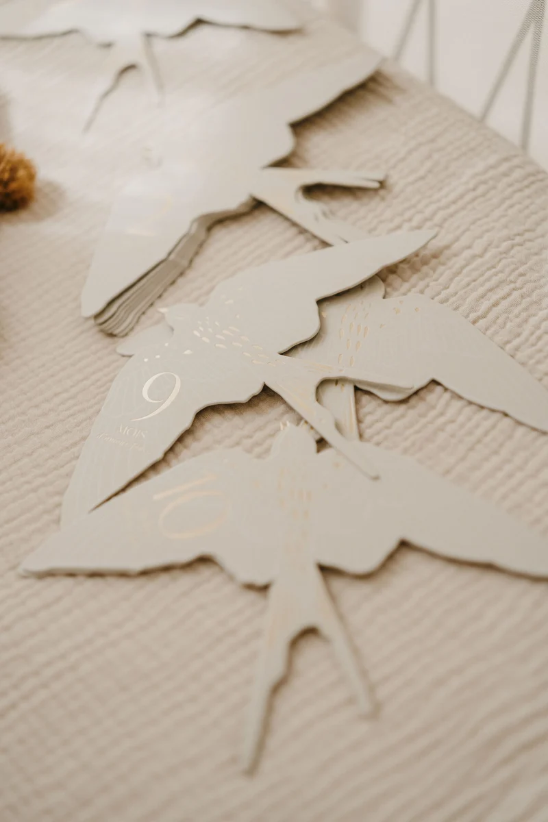 Coffret de 12 cartes étapes Birds