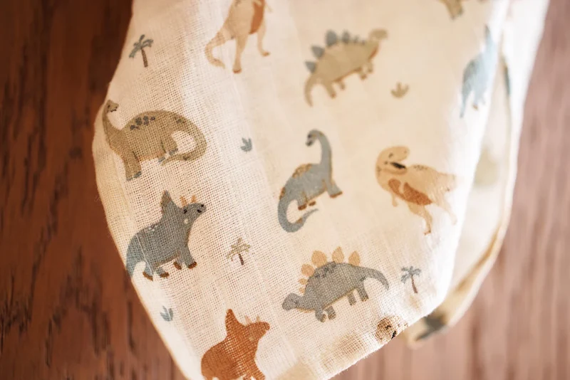 1 Lange Gaze de Coton Small 70x70cm - Roarsome - Dinosaures