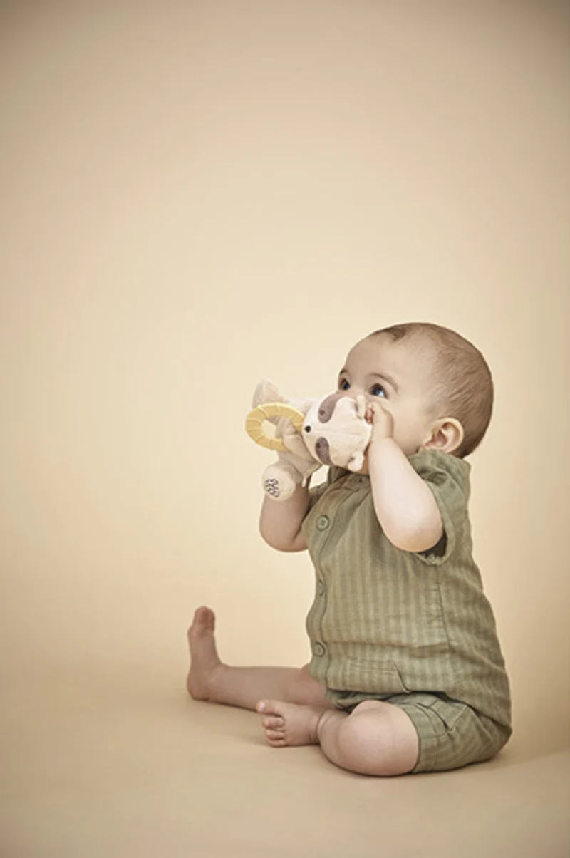 Peluche anneau de dentition bébé – Raton laveur