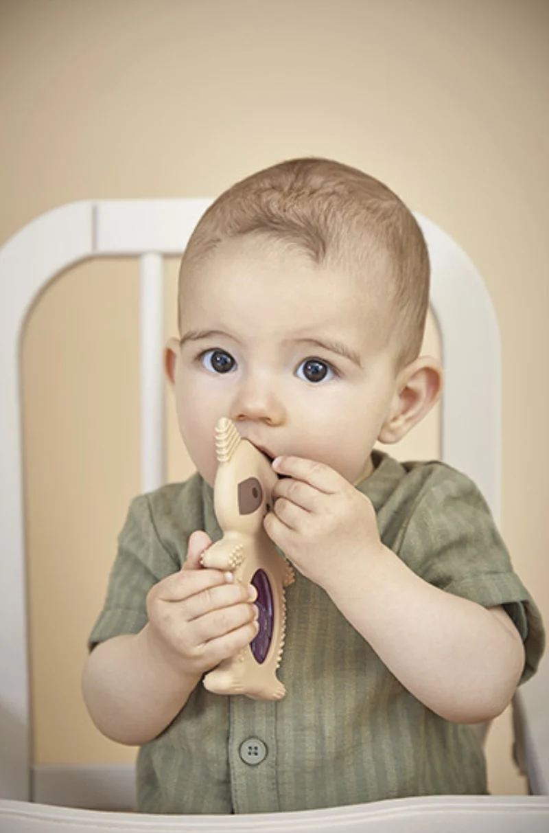 Anneau de dentition réfrigérant bébé – Raton laveur