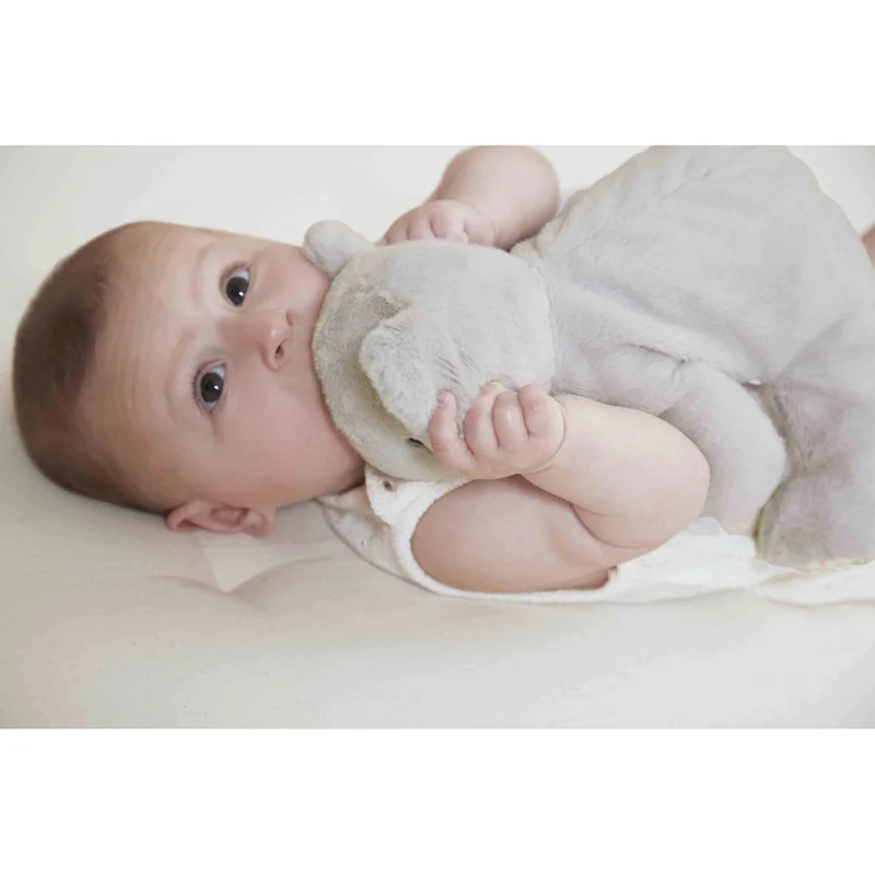 Peluche lestée bébé Koala – 26 cm