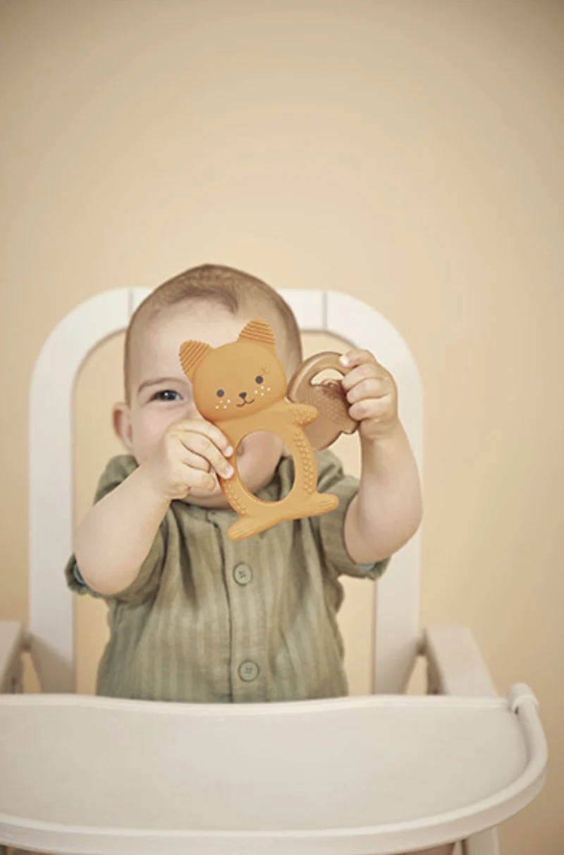 Anneau de dentition réfrigérant bébé – Écureuil