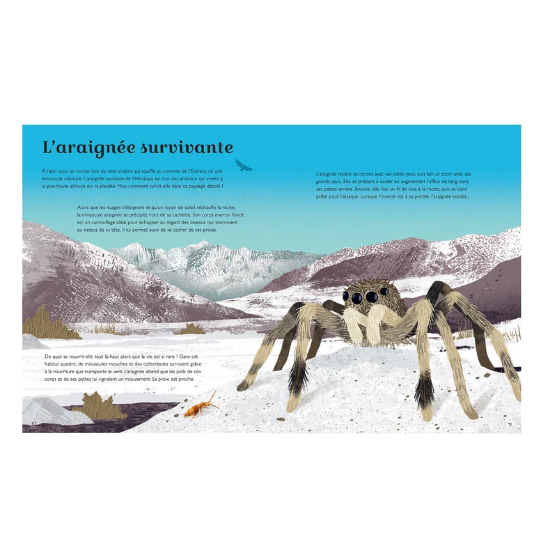 Secrets de nos montagnes -Kimane