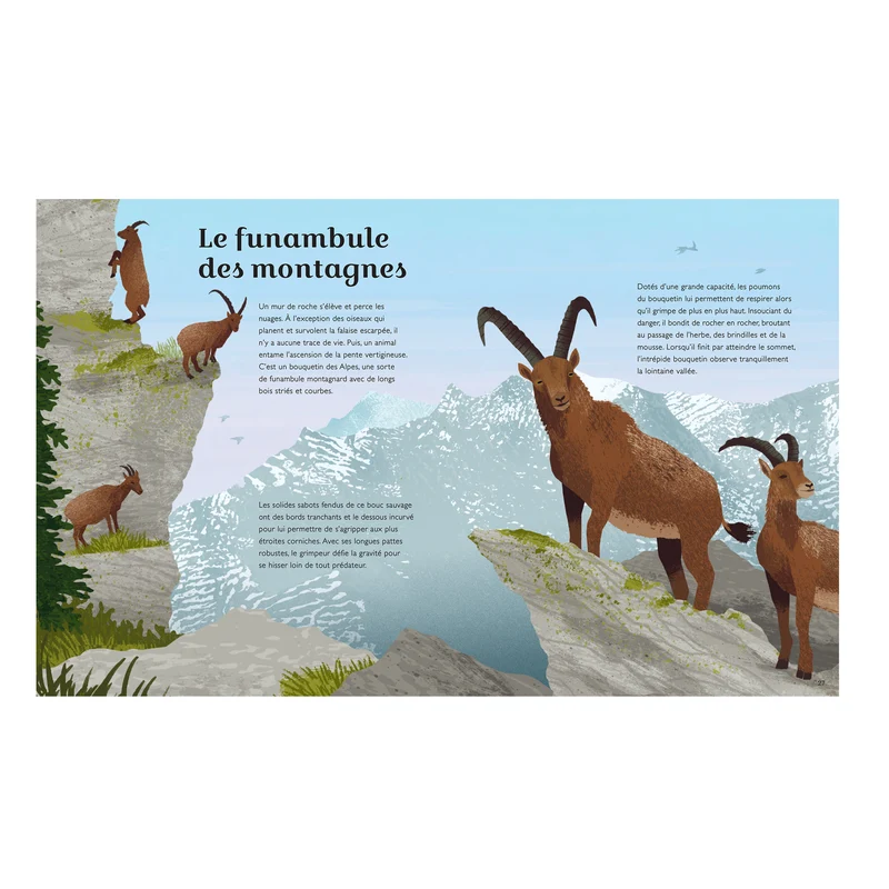 Secrets de nos montagnes -Kimane