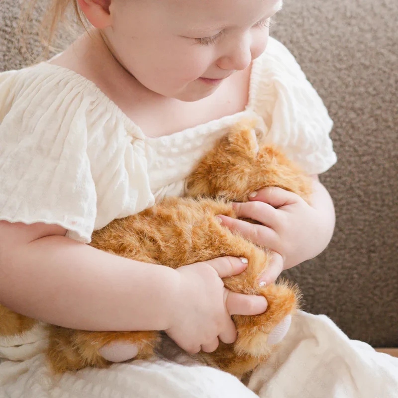 Ensemble Chat Roux – Jouet interactif et éducatif pour enfant