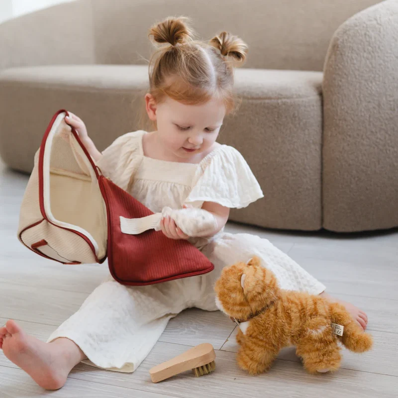 Ensemble Chat Roux – Jouet interactif et éducatif pour enfant