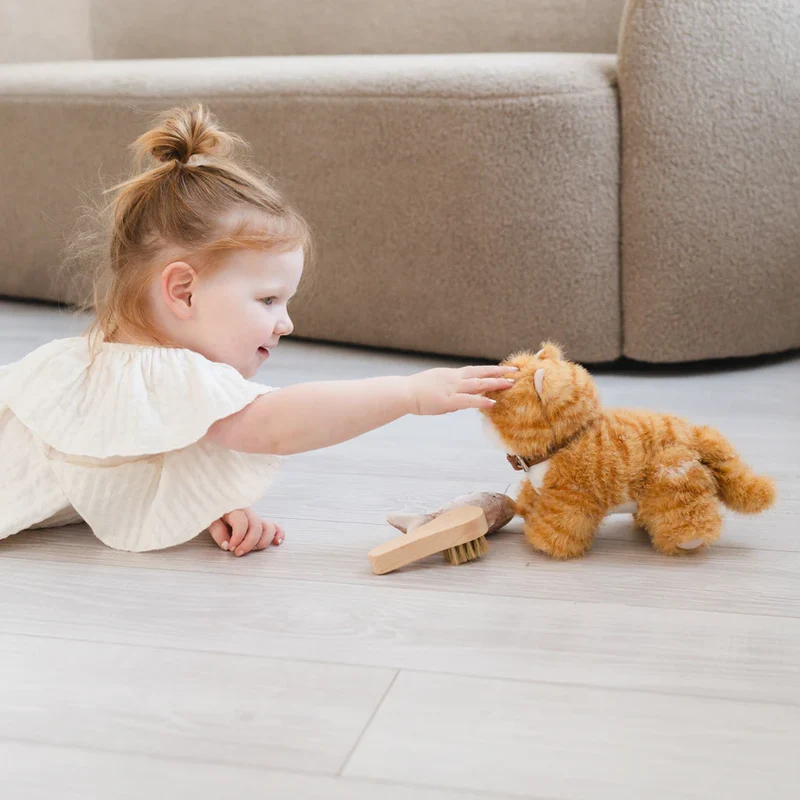 Ensemble Chat Roux – Jouet interactif et éducatif pour enfant