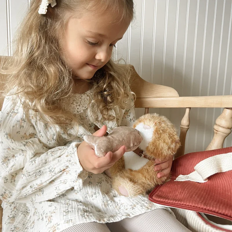 Ensemble Chat Roux – Jouet interactif et éducatif pour enfant
