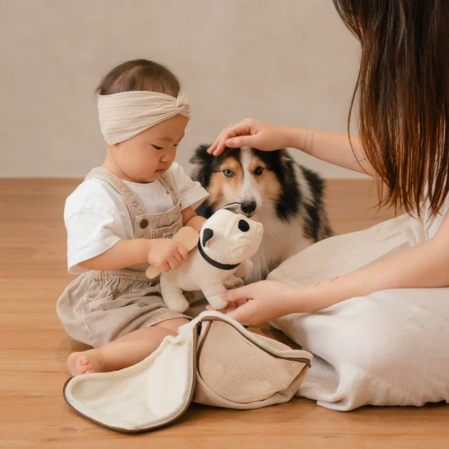 Ensemble Chiot Frenchie – Jouet interactif et éducatif pour enfant